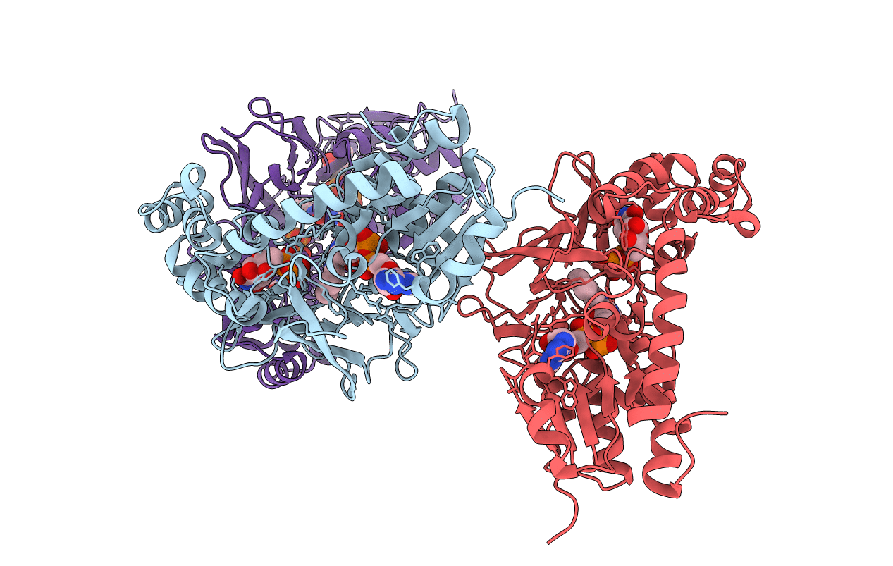 4RPJ image