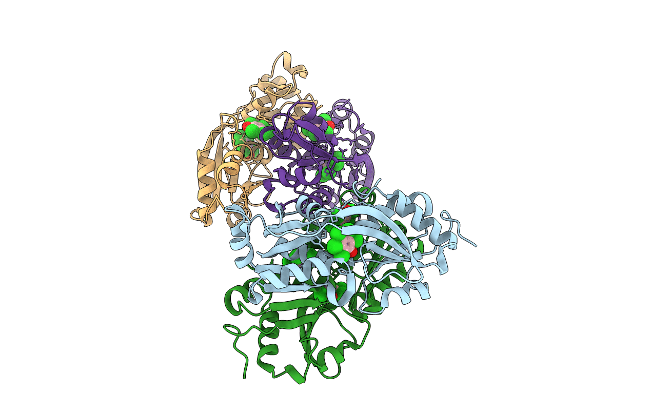 4RPN image