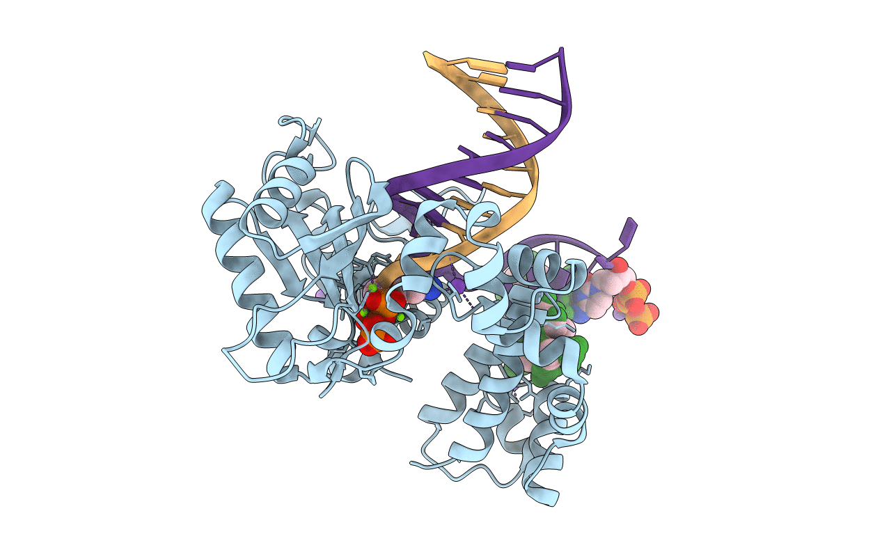 4RPZ image