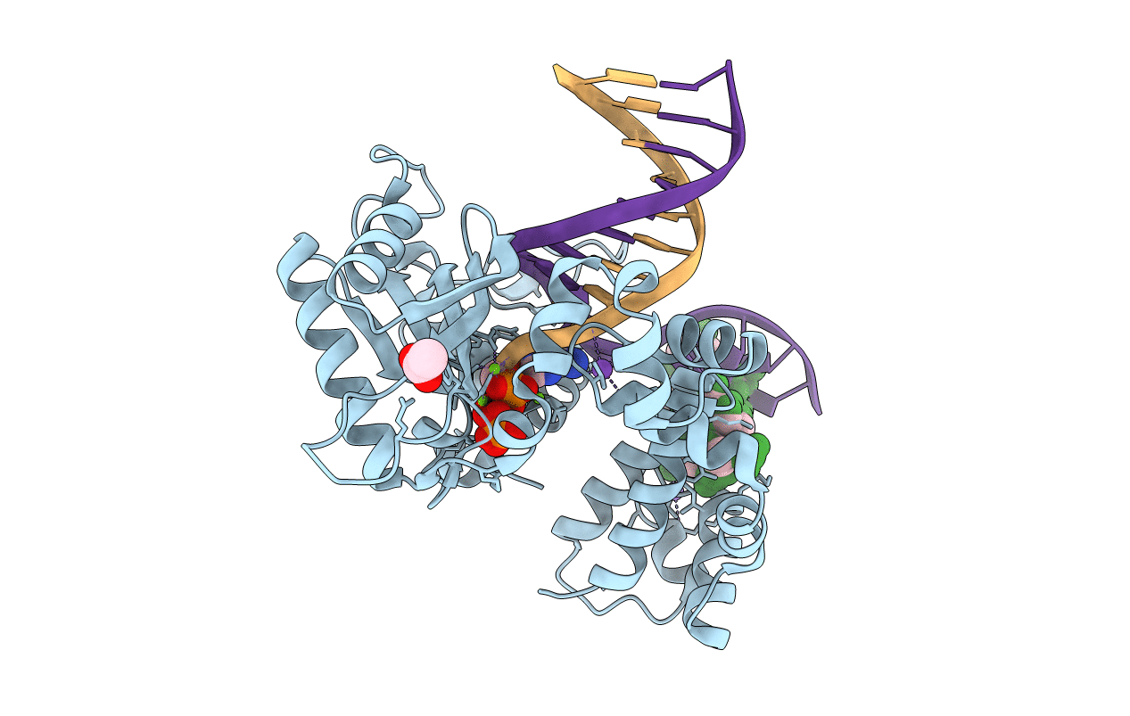 4RQ4 image