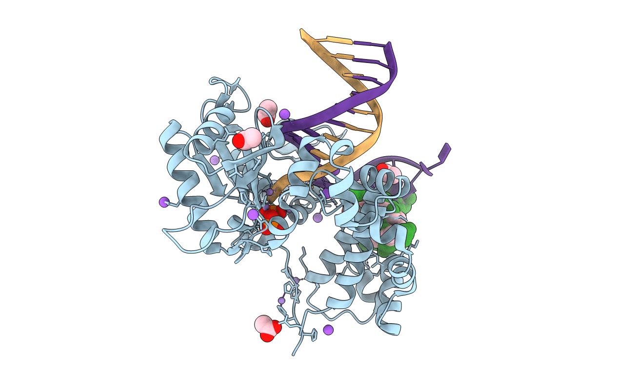 4RQ8 image