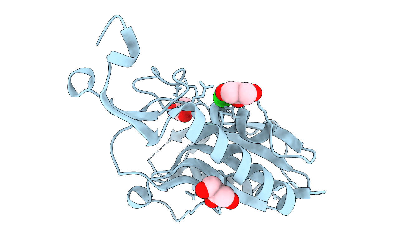 4RQA image