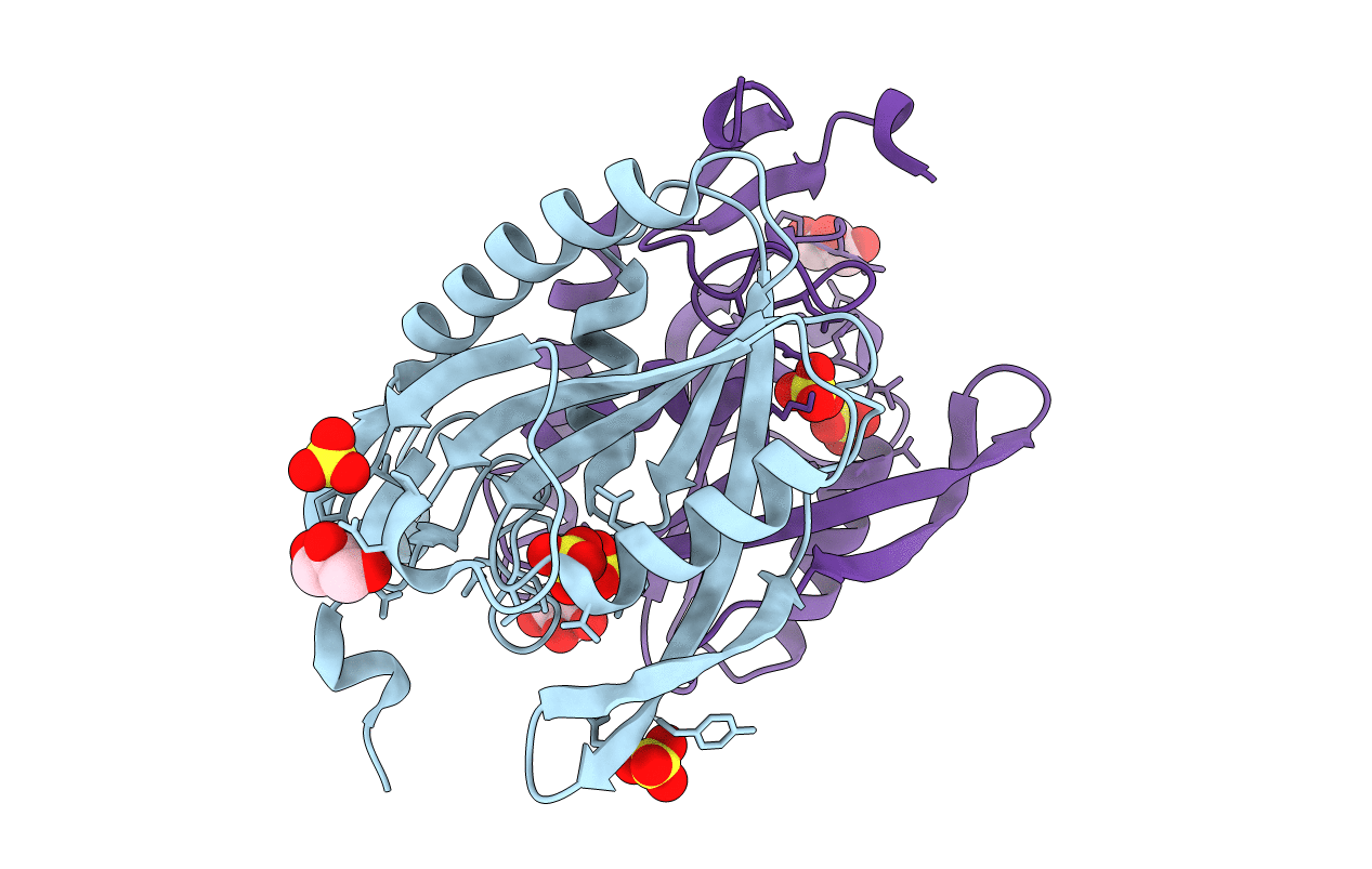4RQB image