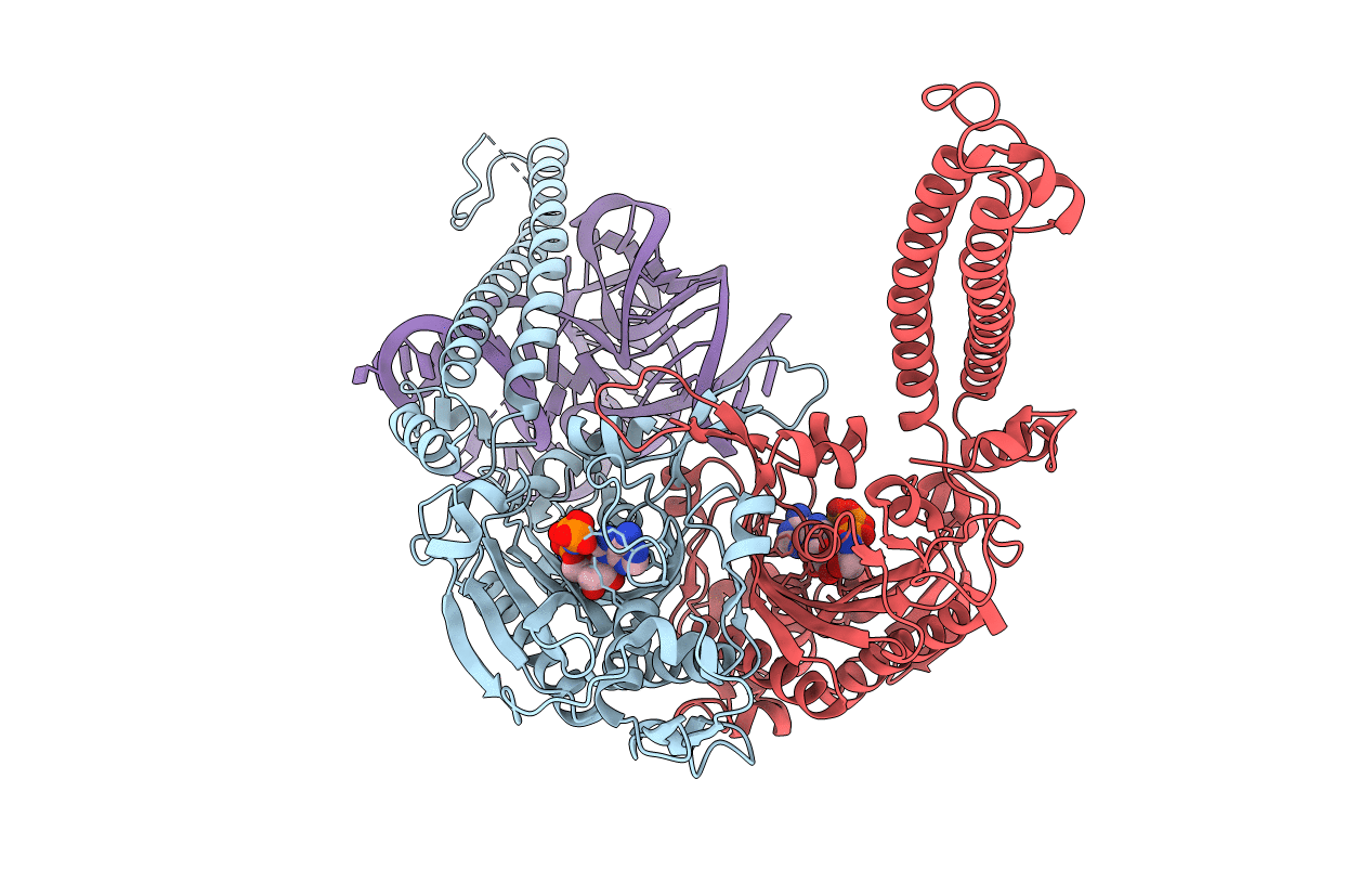 4RQF image