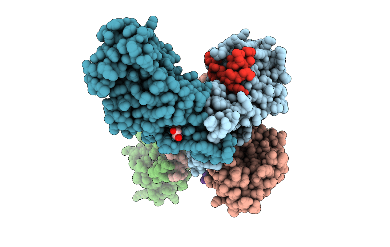 4RQI image