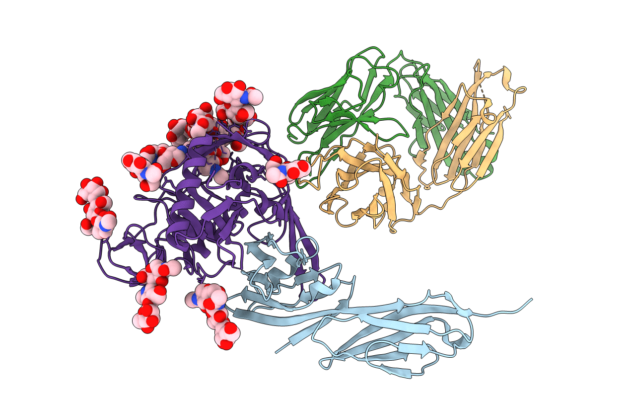 4RQS image
