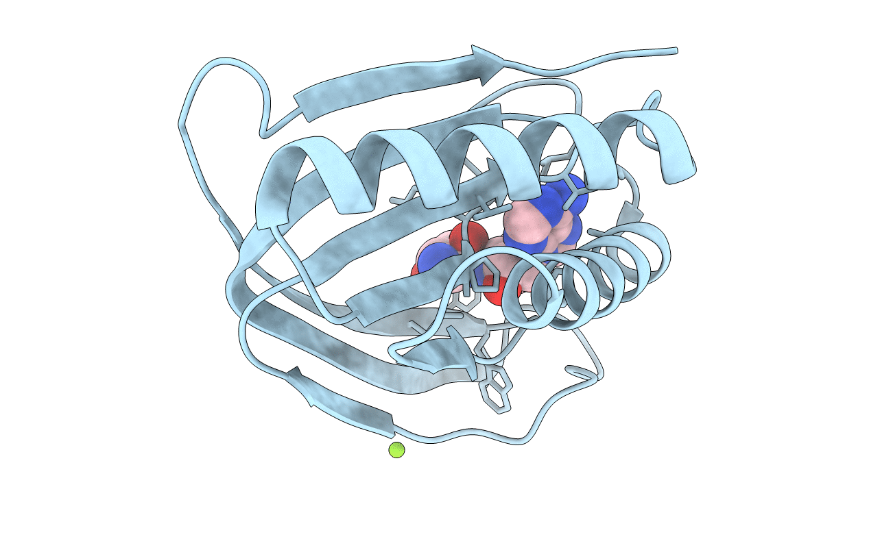 4RRA image