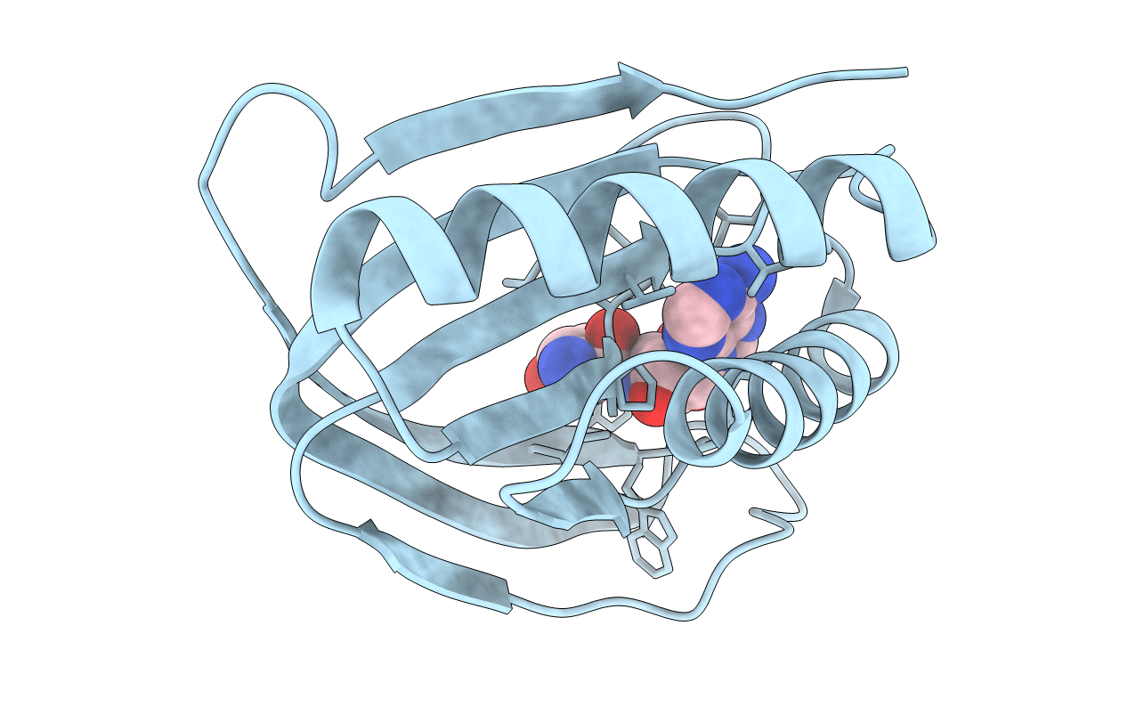 4RRB image
