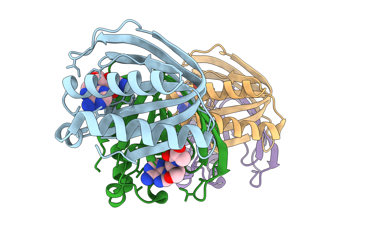 4RRG image