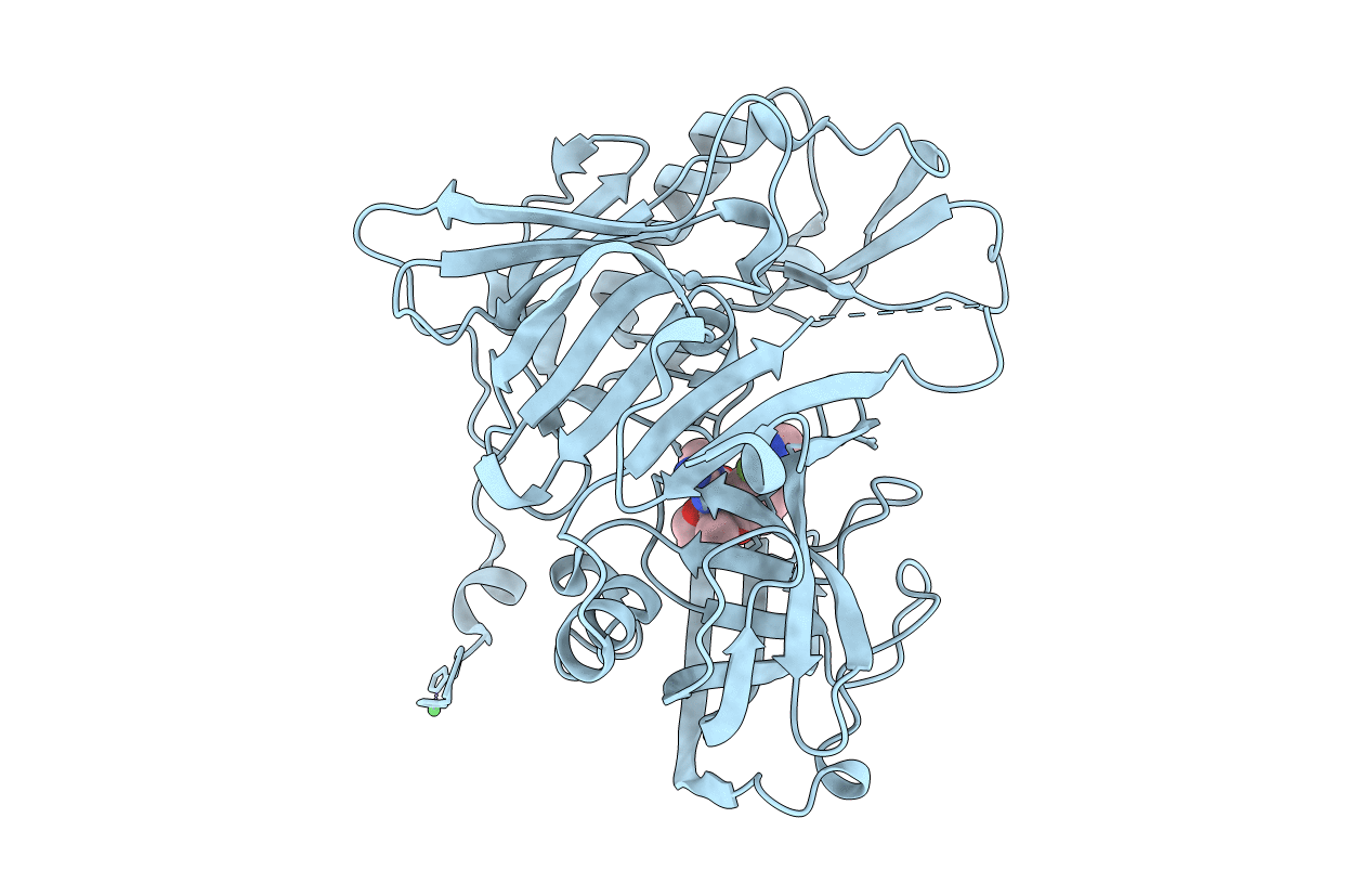 4RRO image