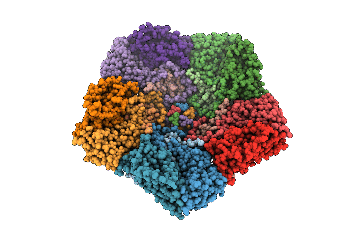 4RS5 image