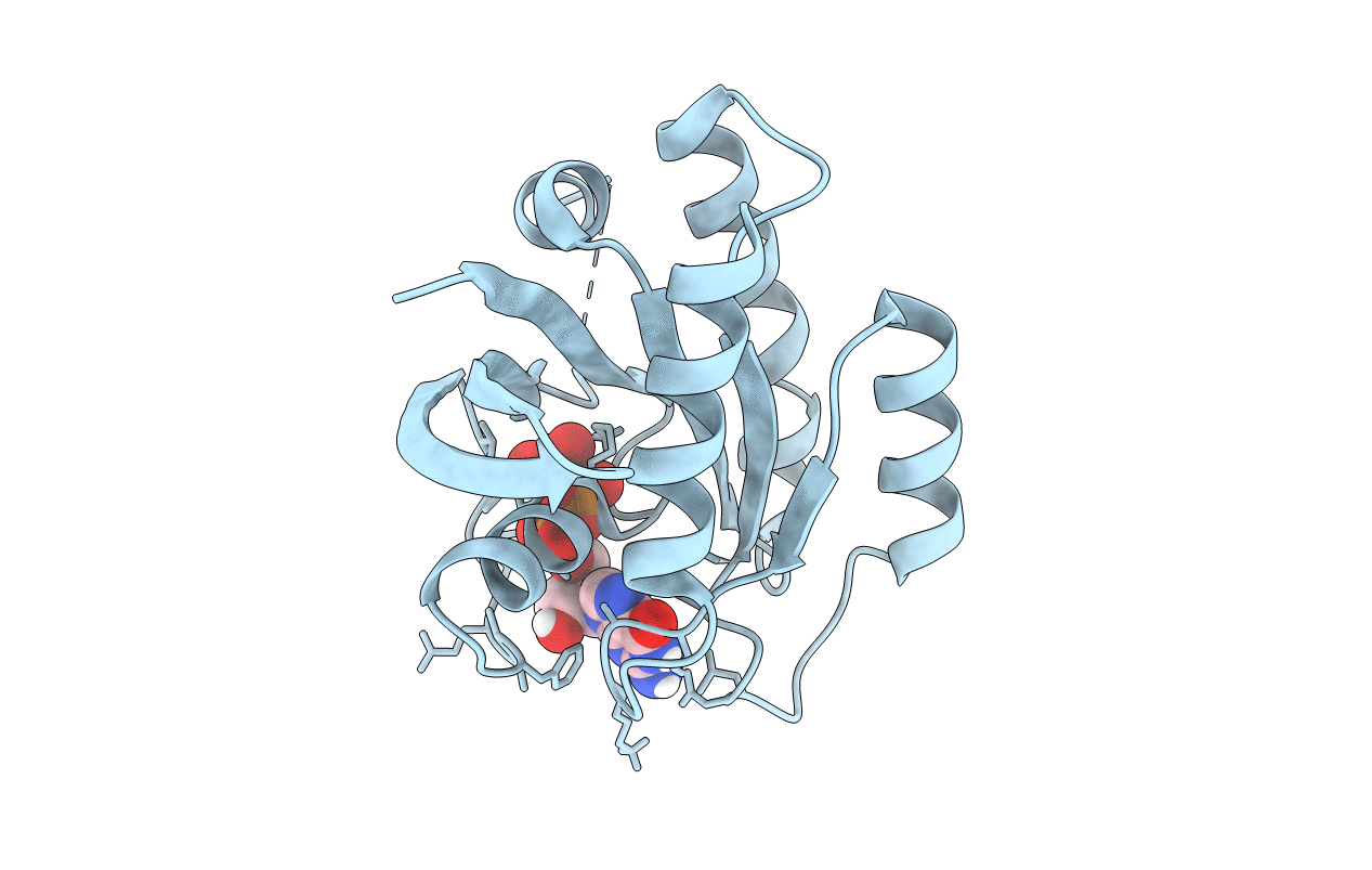 4RSG image