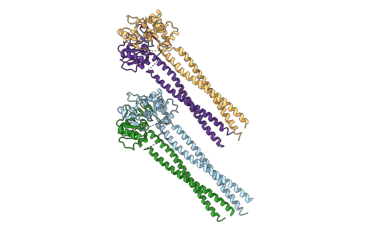 4RSJ image
