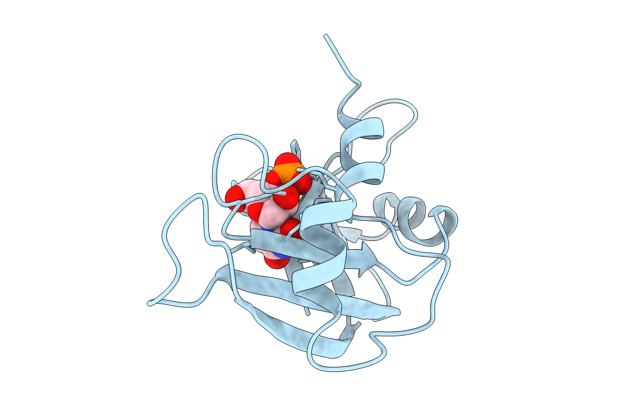4RSK image