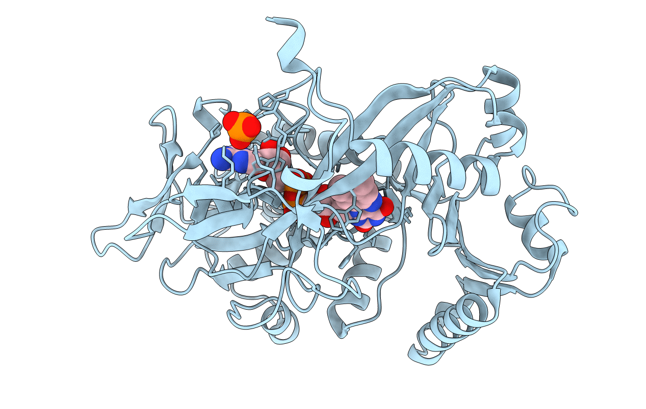 4RSL image