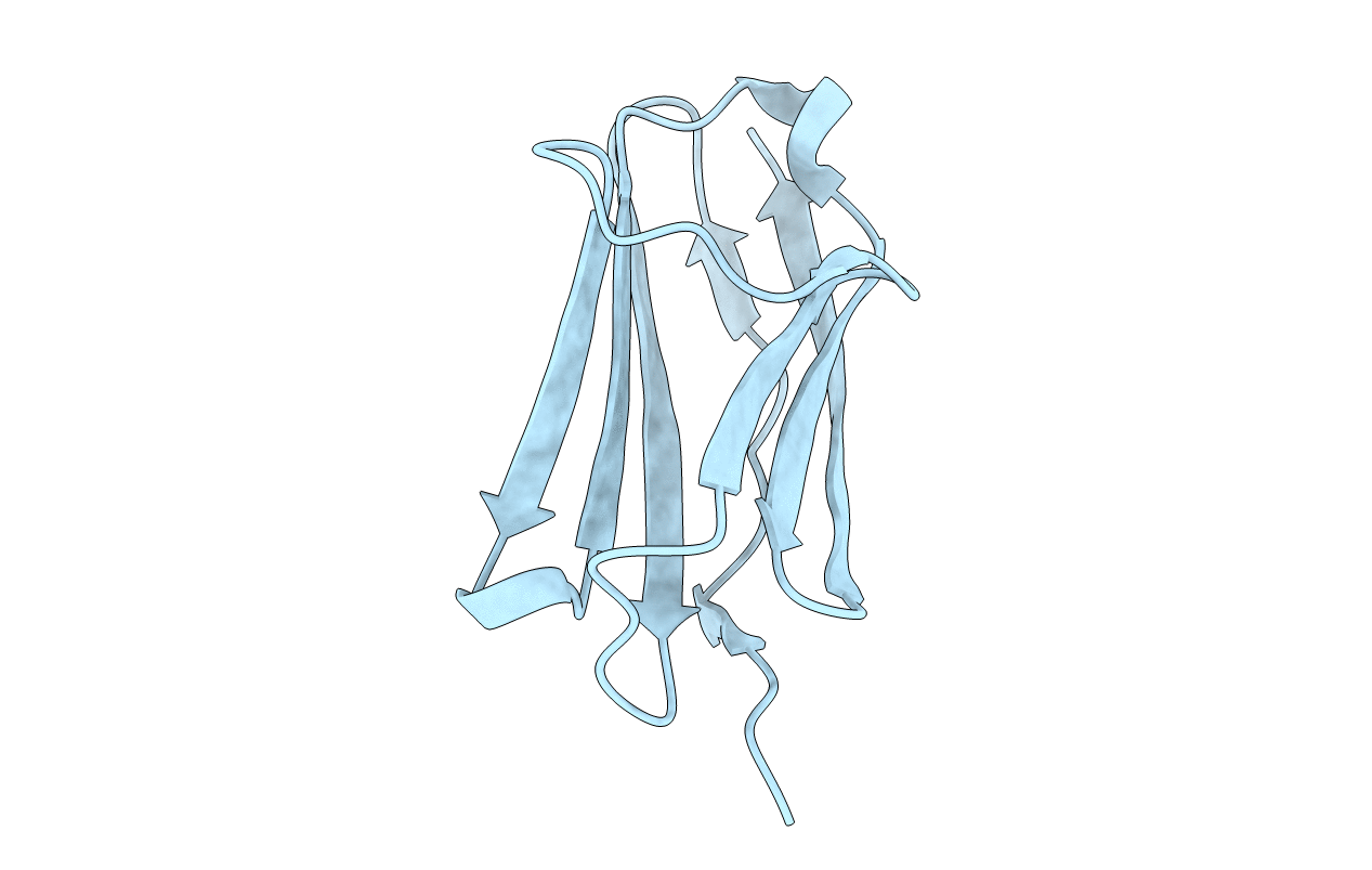 4RSV image