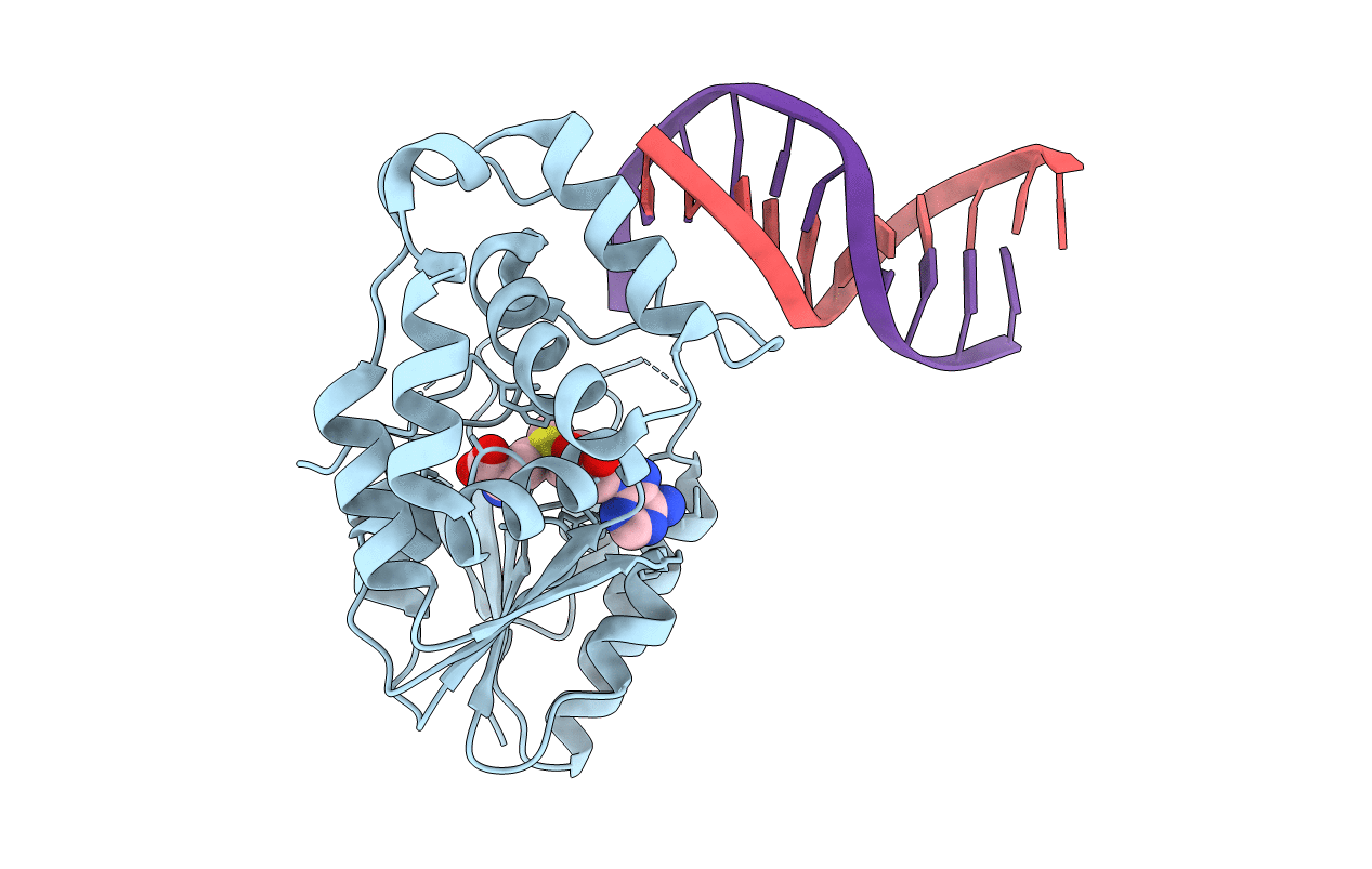 4RTP image