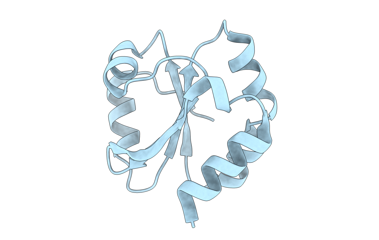 4RUV image