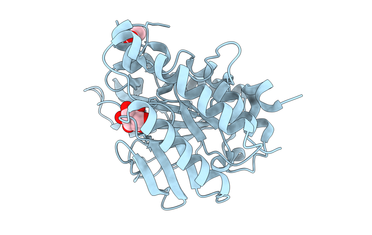 4RV3 image
