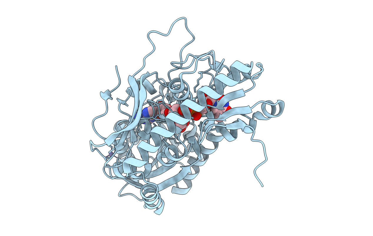 4RVH image