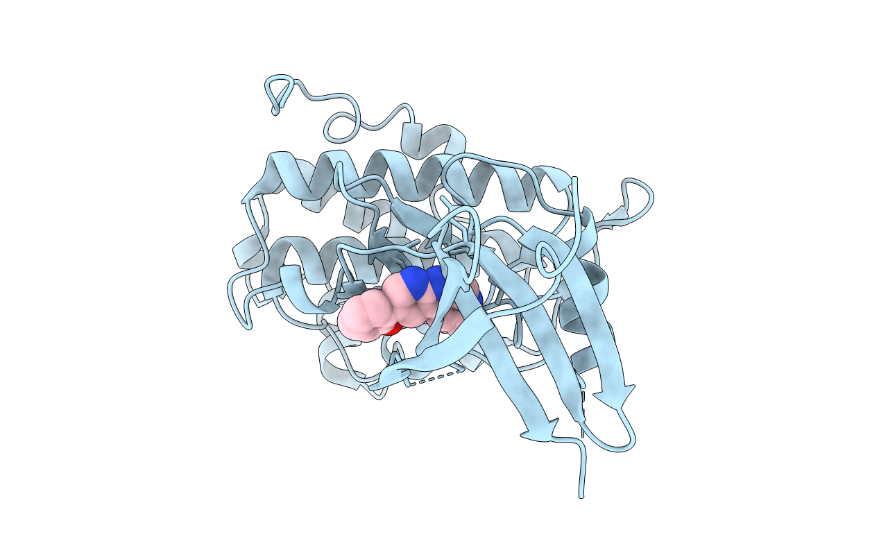 4RVL image