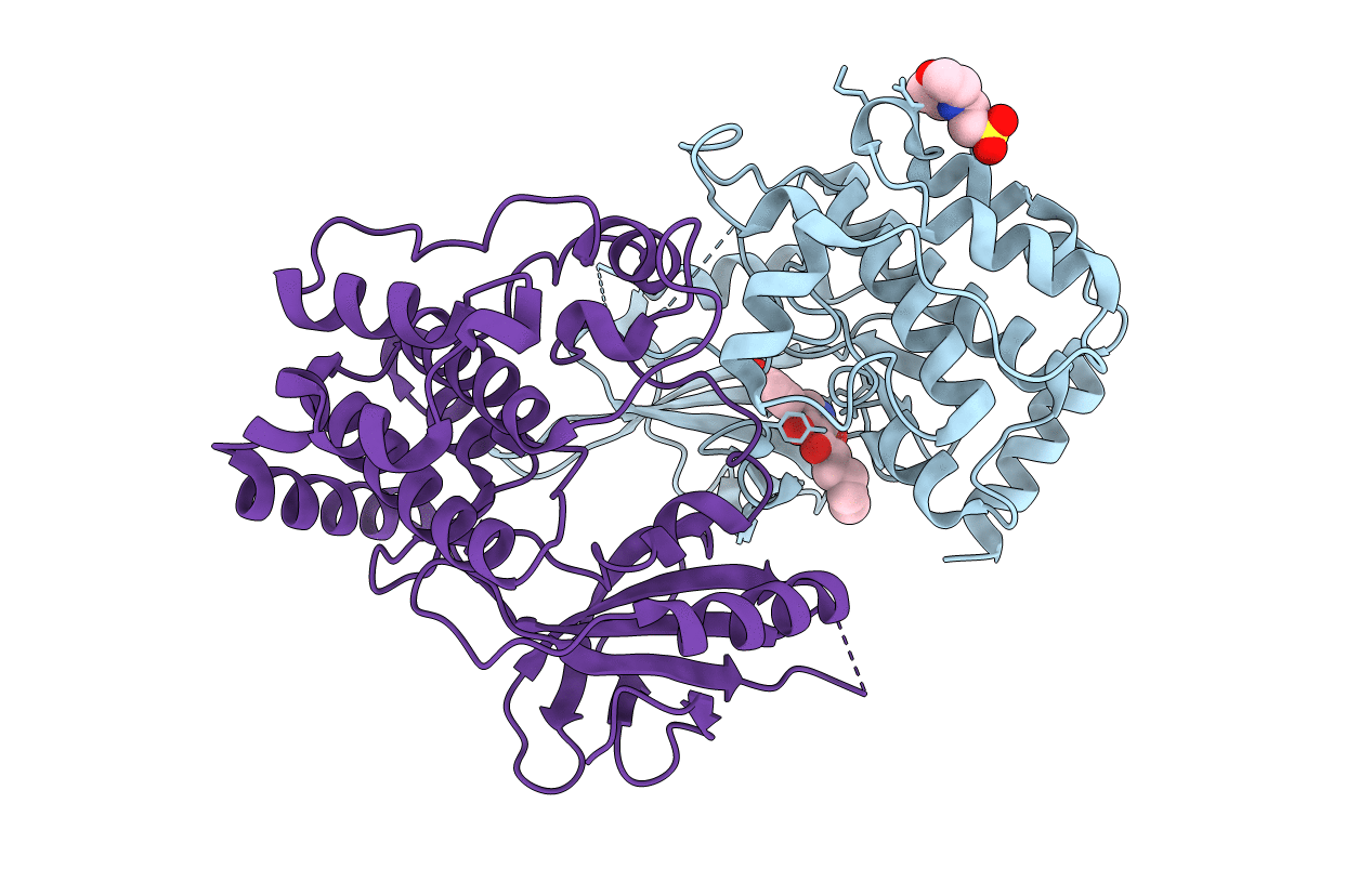 4RVT image