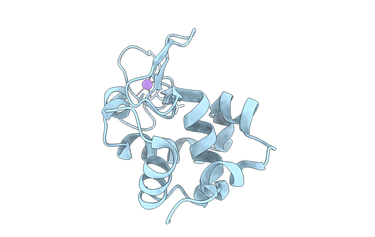 4RW2 image