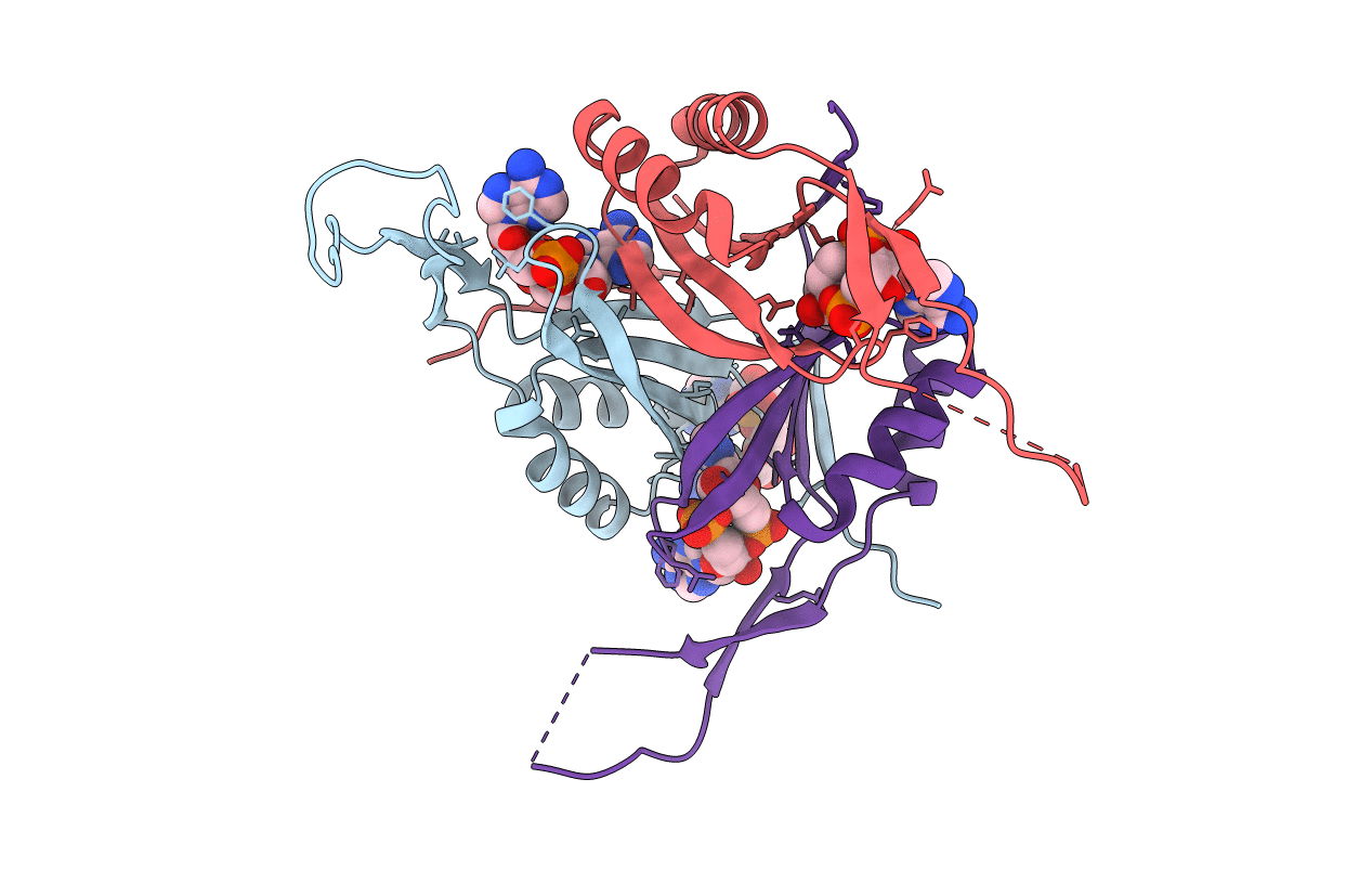 4RWW image