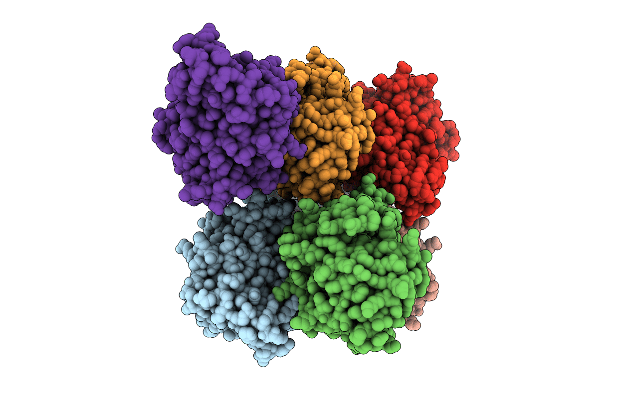 4RX2 image