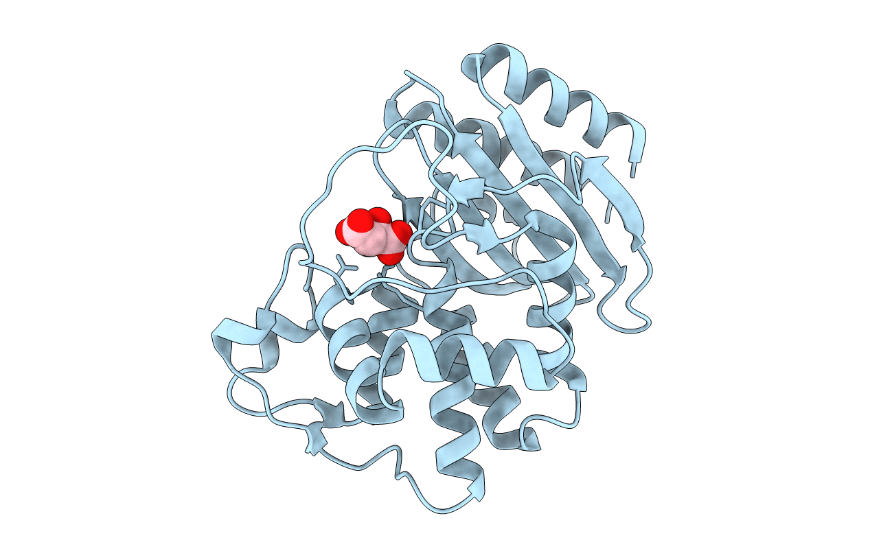 4RX3 image
