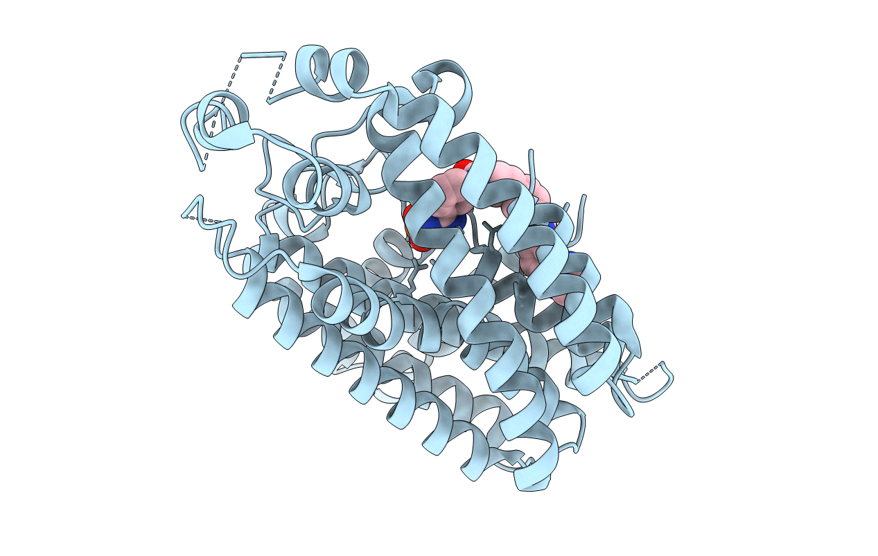 4RXA image