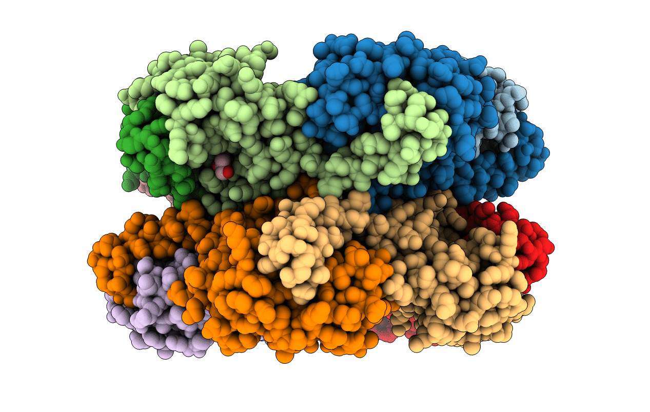 4RXG image