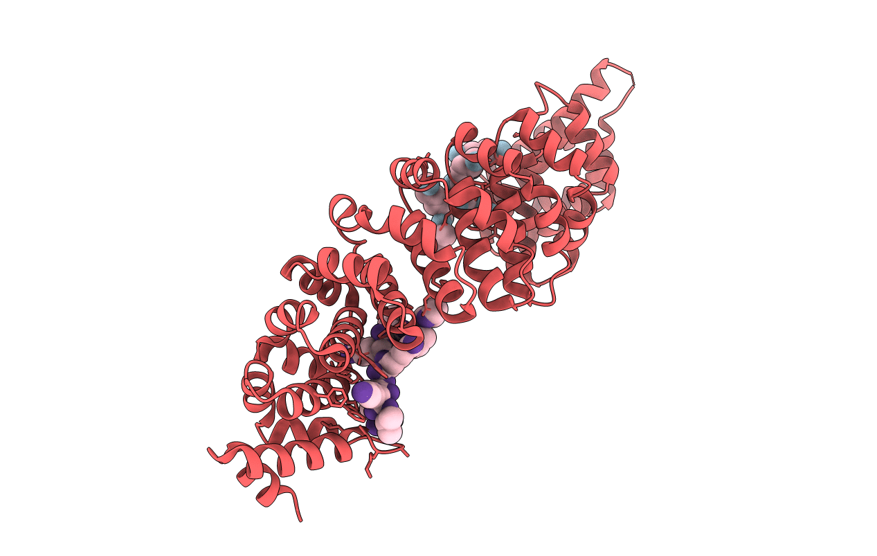 4RXH image
