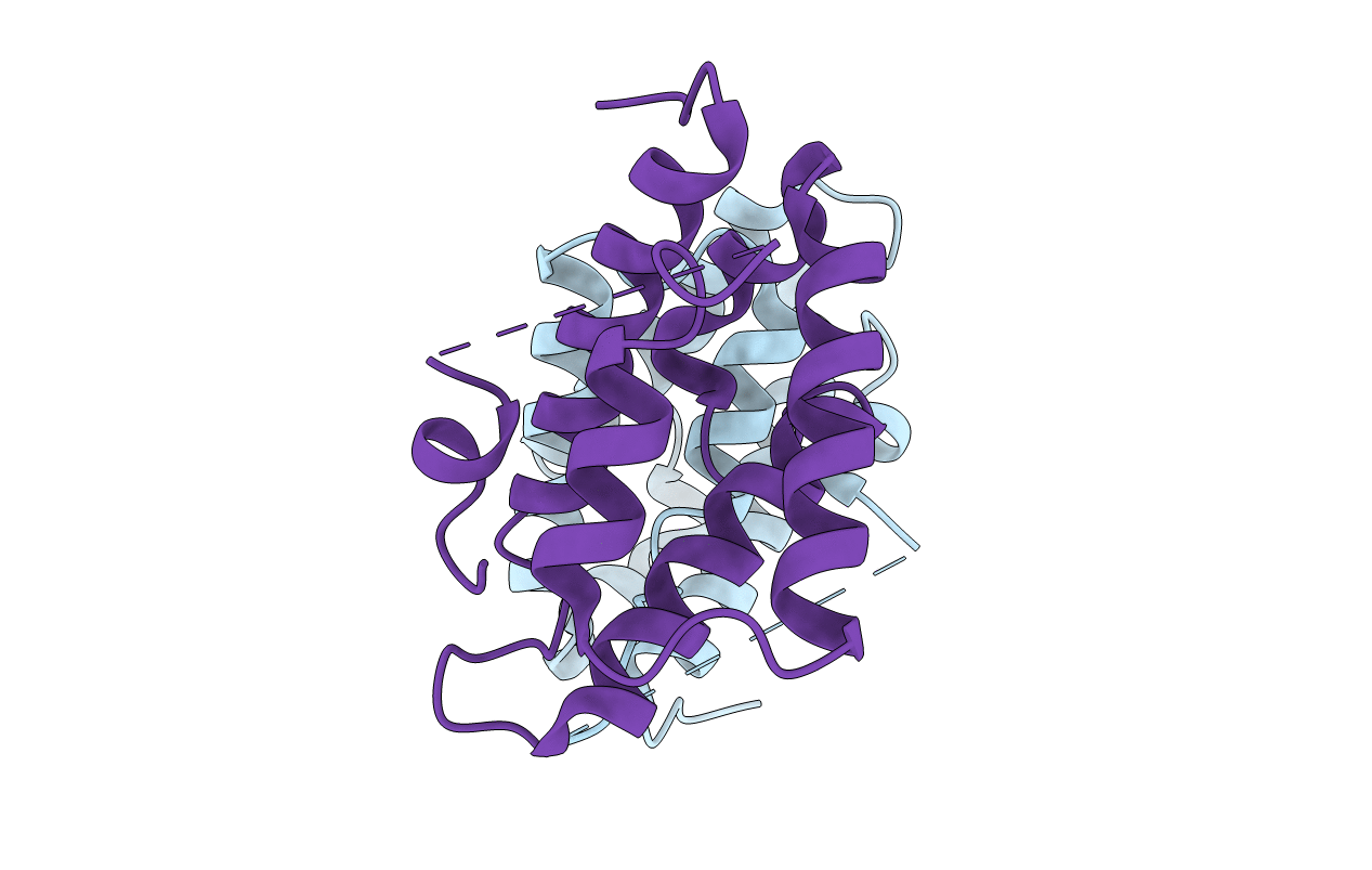 4RXI image