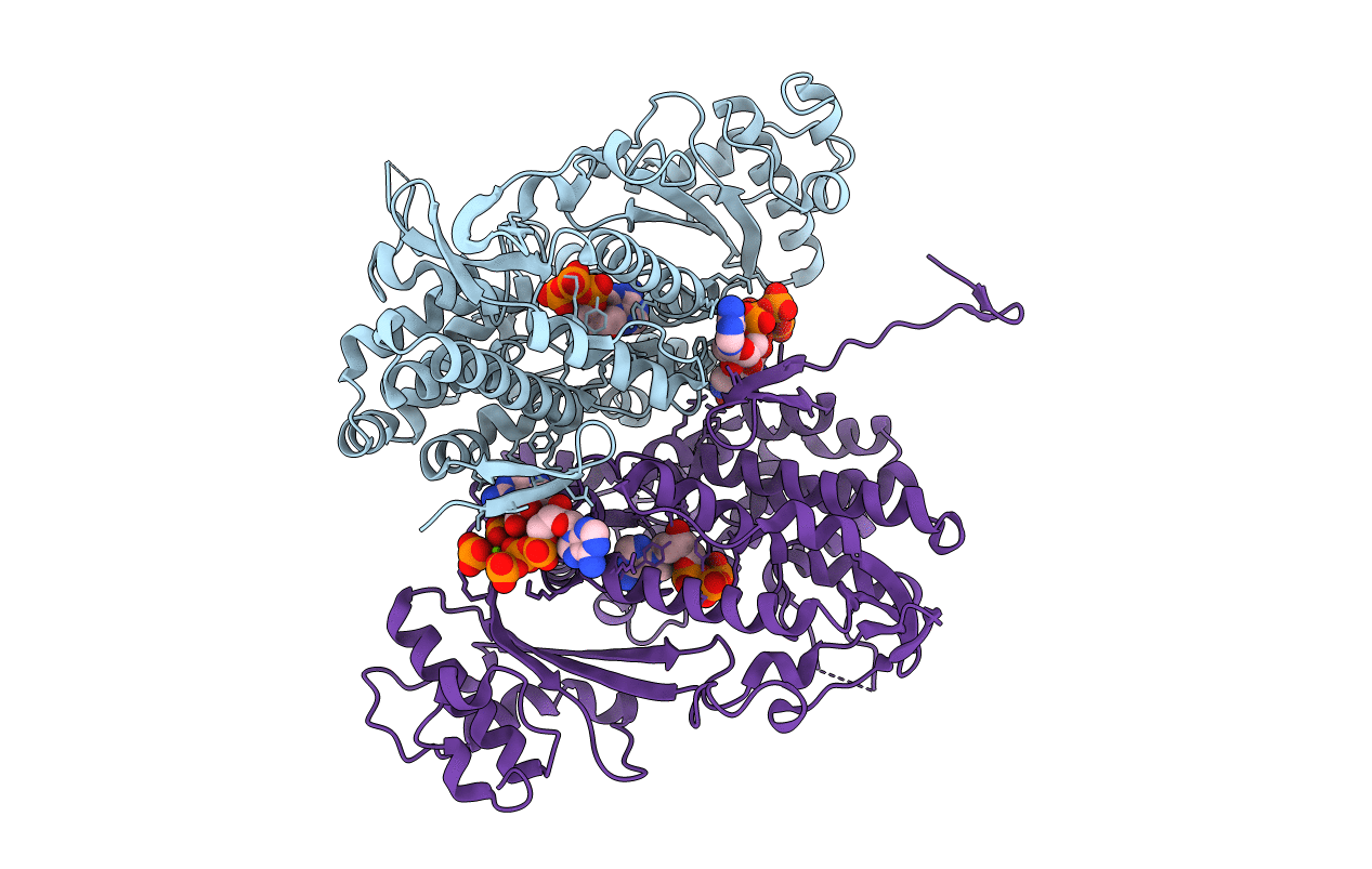 4RXP image