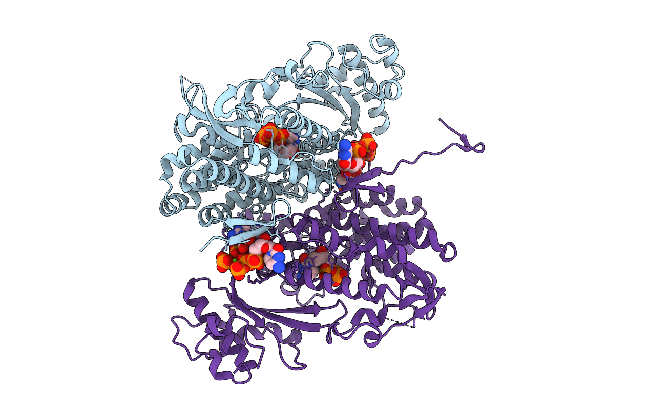 4RXR image