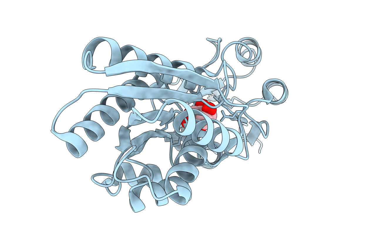 4RXT image