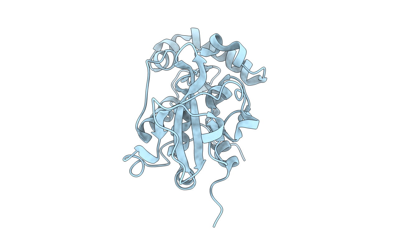4RXV image