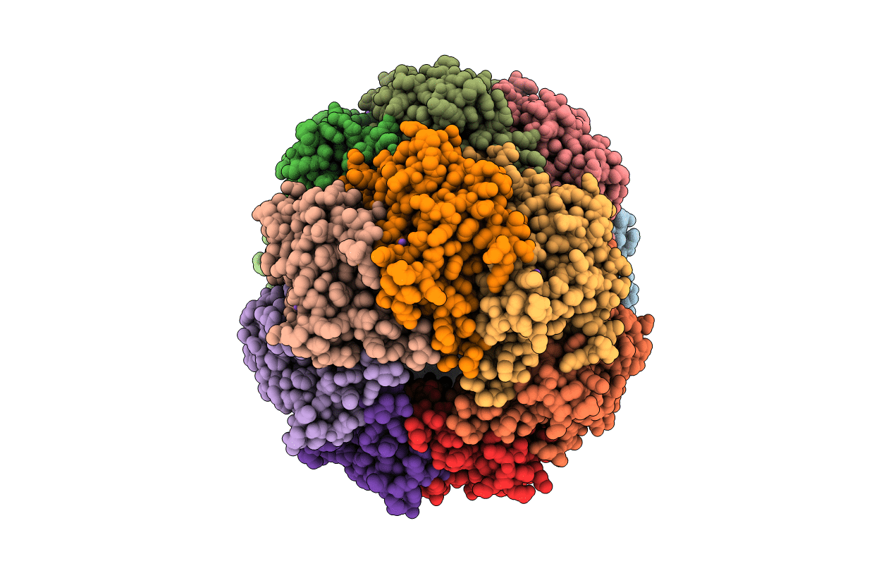 4RYF image