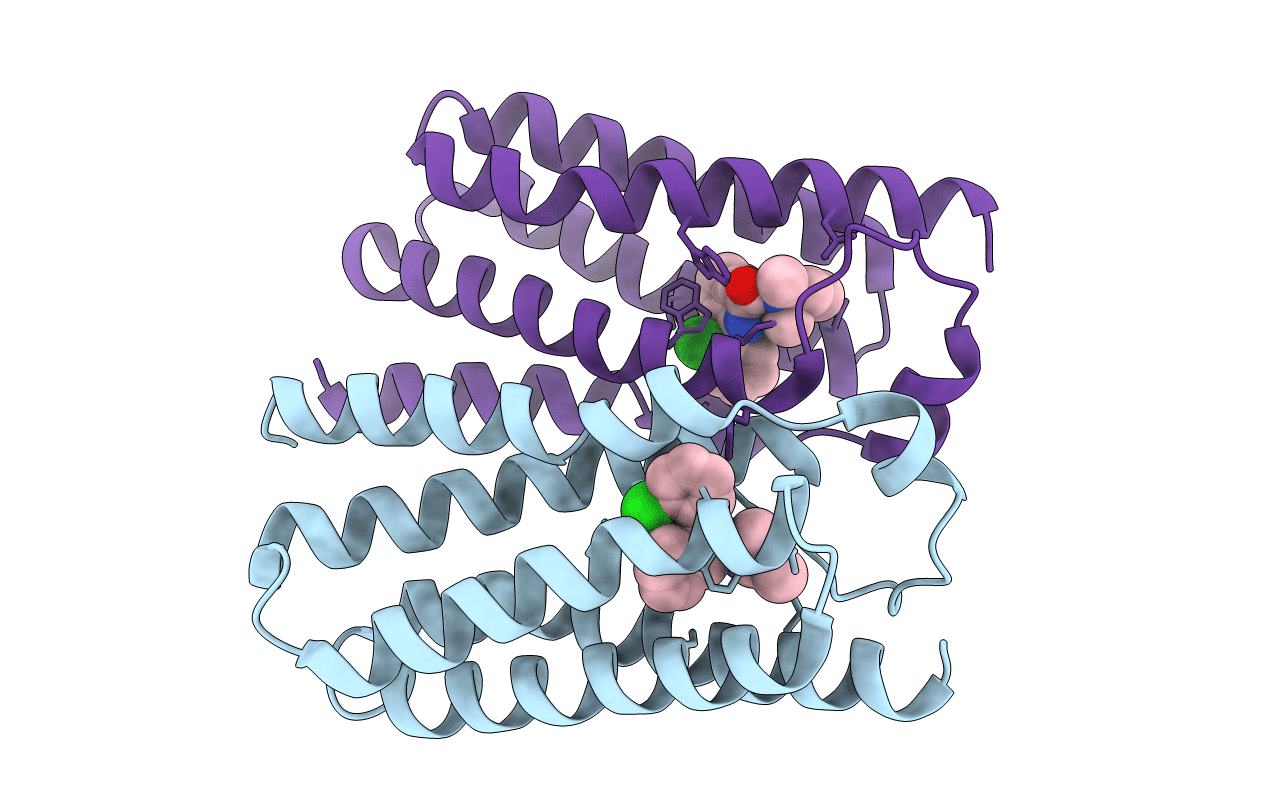 4RYI image