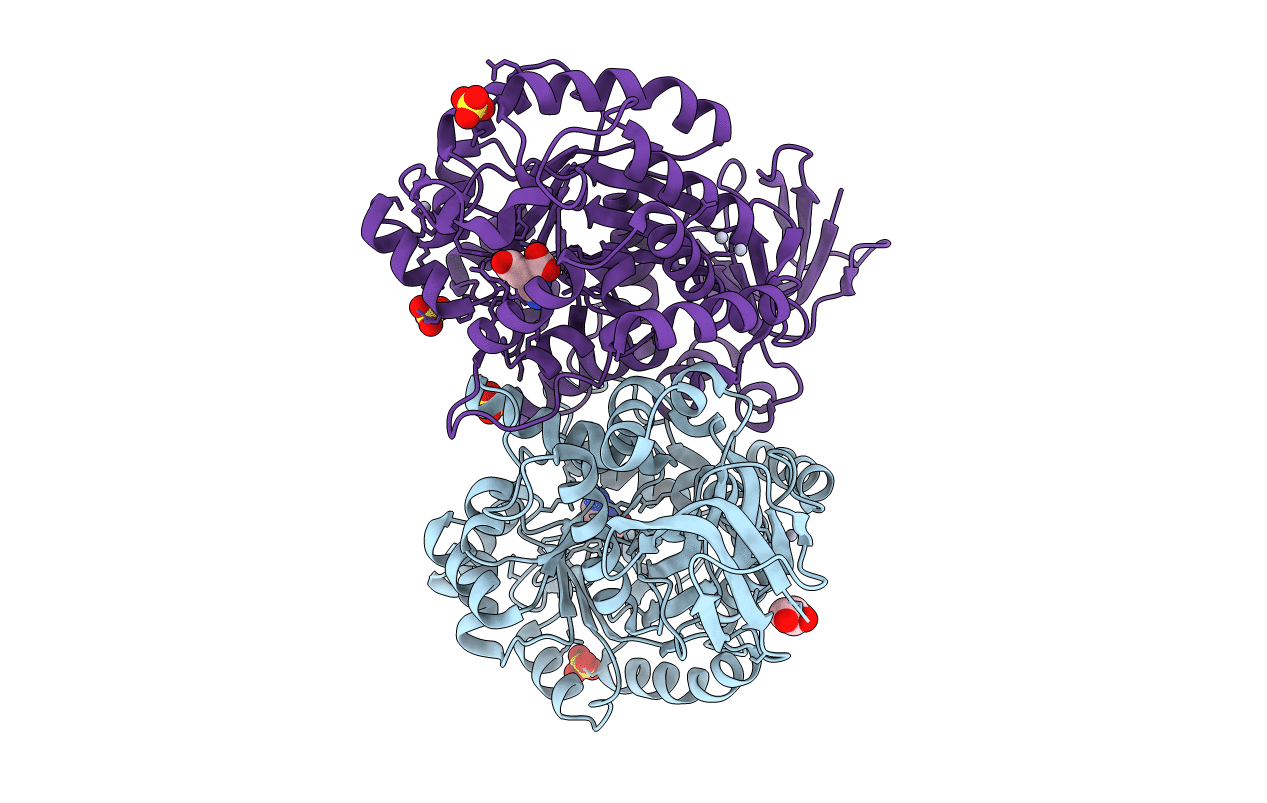 4RZB image