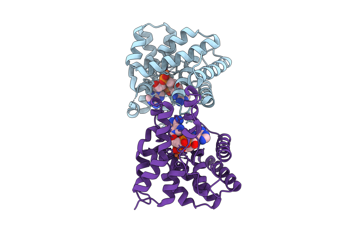 4S1B image