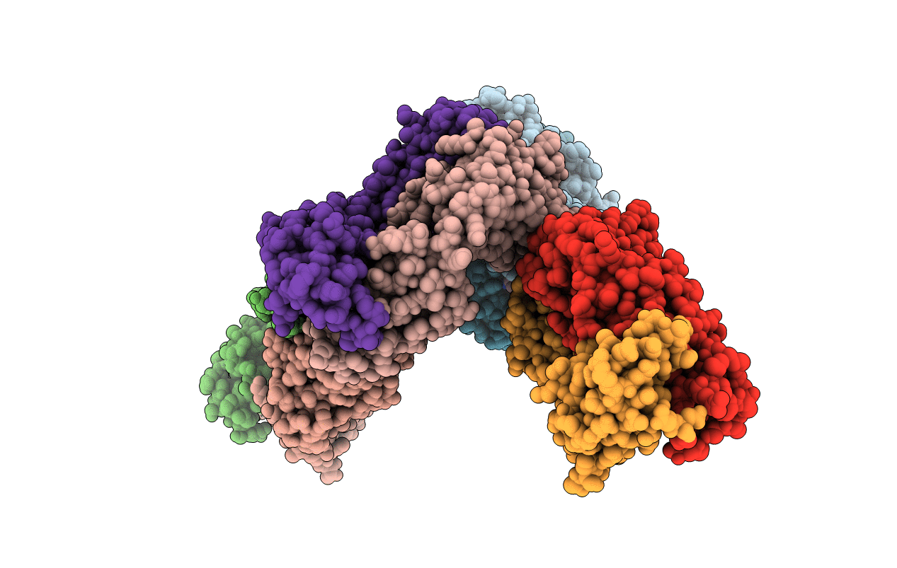 4S1D image