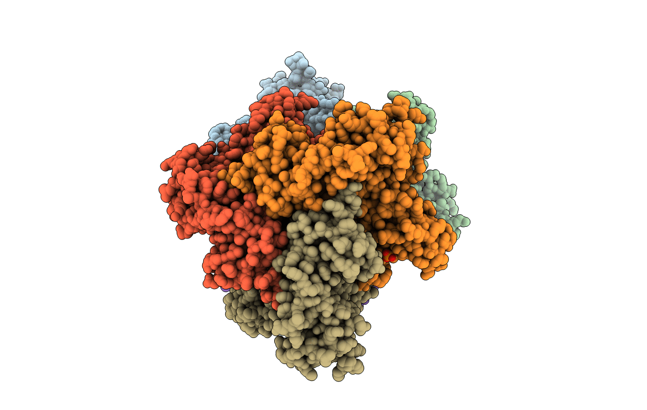 4S1T image