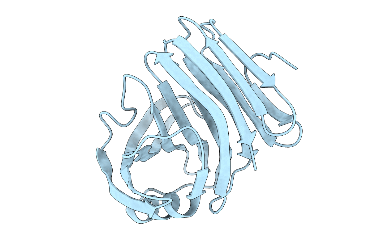 4S2F image