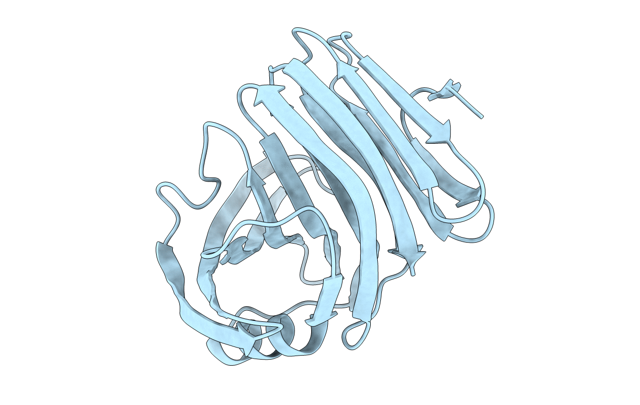 4S2G image