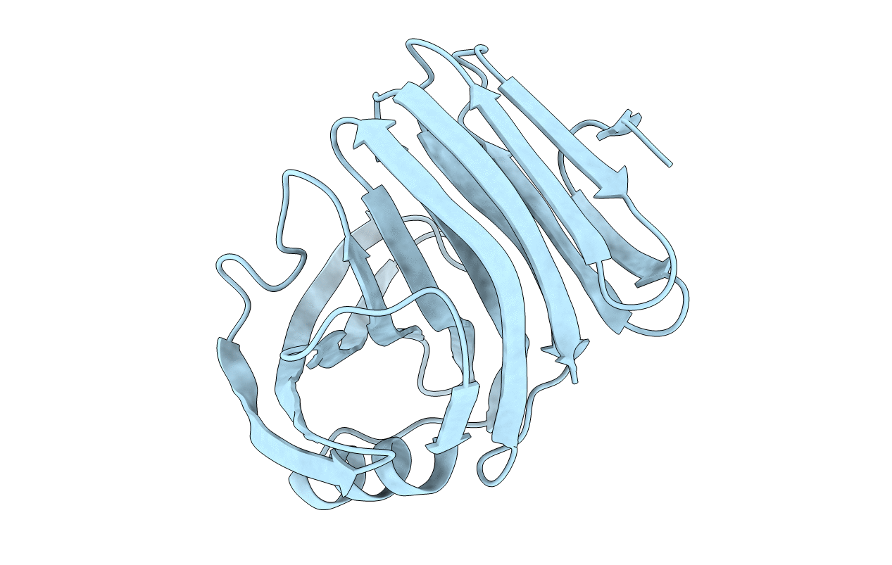 4S2H image