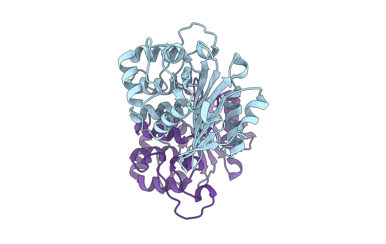 4s2p image