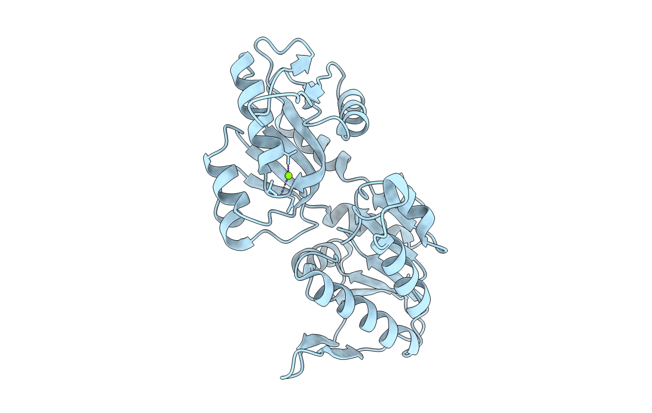 4S2U image