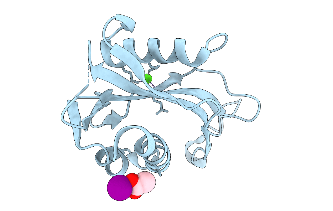 4S2V image